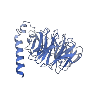 29970_8geh_B_v1-2
CryoEM structure of beta-2-adrenergic receptor in complex with nucleotide-free Gs heterotrimer (#18 of 20)