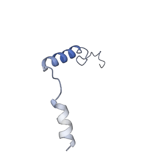 29970_8geh_G_v1-2
CryoEM structure of beta-2-adrenergic receptor in complex with nucleotide-free Gs heterotrimer (#18 of 20)