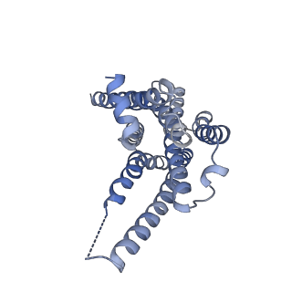 29970_8geh_R_v1-2
CryoEM structure of beta-2-adrenergic receptor in complex with nucleotide-free Gs heterotrimer (#18 of 20)