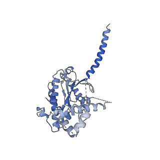 29971_8gei_A_v1-2
CryoEM structure of beta-2-adrenergic receptor in complex with nucleotide-free Gs heterotrimer (#19 of 20)