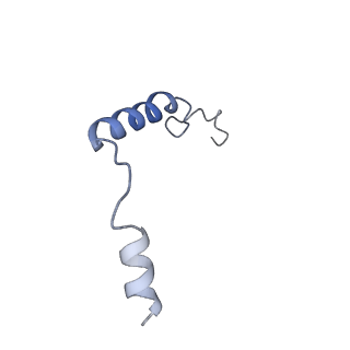 29971_8gei_G_v1-2
CryoEM structure of beta-2-adrenergic receptor in complex with nucleotide-free Gs heterotrimer (#19 of 20)