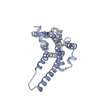 29971_8gei_R_v1-2
CryoEM structure of beta-2-adrenergic receptor in complex with nucleotide-free Gs heterotrimer (#19 of 20)