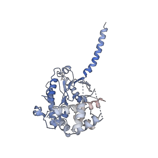 29972_8gej_A_v1-2
CryoEM structure of beta-2-adrenergic receptor in complex with nucleotide-free Gs heterotrimer (#20 of 20)