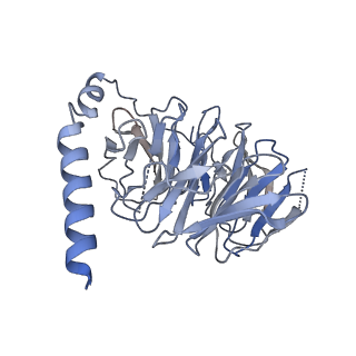 29972_8gej_B_v1-2
CryoEM structure of beta-2-adrenergic receptor in complex with nucleotide-free Gs heterotrimer (#20 of 20)