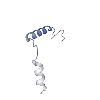 29972_8gej_G_v1-2
CryoEM structure of beta-2-adrenergic receptor in complex with nucleotide-free Gs heterotrimer (#20 of 20)