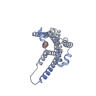 29972_8gej_R_v1-2
CryoEM structure of beta-2-adrenergic receptor in complex with nucleotide-free Gs heterotrimer (#20 of 20)