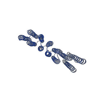 29974_8gel_A_v1-1
Cryo-EM structure of synthetic tetrameric building block sC4