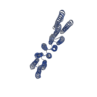 29974_8gel_B_v1-1
Cryo-EM structure of synthetic tetrameric building block sC4