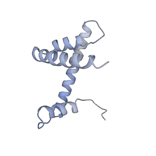 4395_6gej_G_v1-3
Chromatin remodeller-nucleosome complex at 3.6 A resolution.