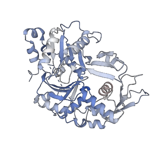 4395_6gej_R_v1-3
Chromatin remodeller-nucleosome complex at 3.6 A resolution.