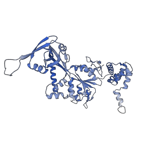 4395_6gej_T_v1-3
Chromatin remodeller-nucleosome complex at 3.6 A resolution.