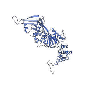 4395_6gej_U_v1-3
Chromatin remodeller-nucleosome complex at 3.6 A resolution.