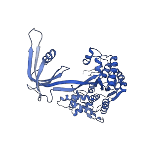 4395_6gej_W_v1-3
Chromatin remodeller-nucleosome complex at 3.6 A resolution.