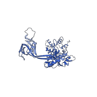 4395_6gej_X_v1-3
Chromatin remodeller-nucleosome complex at 3.6 A resolution.