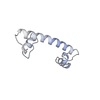 4396_6gen_D_v1-2
Chromatin remodeller-nucleosome complex at 4.5 A resolution.