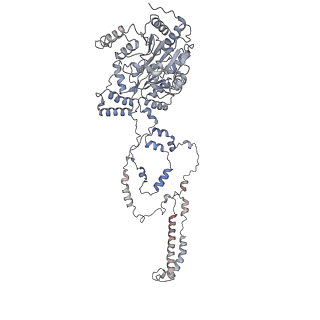 4396_6gen_M_v1-2
Chromatin remodeller-nucleosome complex at 4.5 A resolution.
