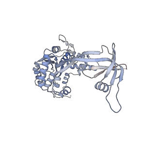 4396_6gen_W_v1-2
Chromatin remodeller-nucleosome complex at 4.5 A resolution.