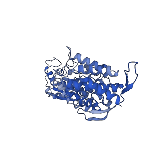 29978_8gf5_D_v1-0
McrD binds asymmetrically to methyl-coenzyme M reductase improving active site accessibility during assembly