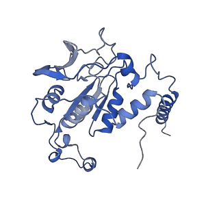 29978_8gf5_F_v1-0
McrD binds asymmetrically to methyl-coenzyme M reductase improving active site accessibility during assembly