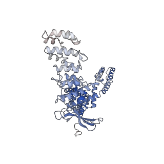 29981_8gf8_D_v1-0
Cryo-EM structure of human TRPV1 in cNW11 nanodisc and soybean lipids