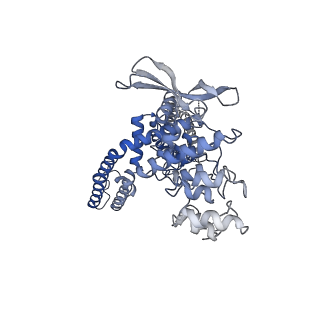 29982_8gf9_B_v1-0
Cryo-EM structure of human TRPV1 in cNW11 nanodisc and POPC:POPE:POPG lipids