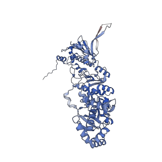 29984_8gft_A_v1-0
Hsp90 provides platform for CRaf dephosphorylation by PP5