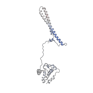 29984_8gft_C_v1-0
Hsp90 provides platform for CRaf dephosphorylation by PP5