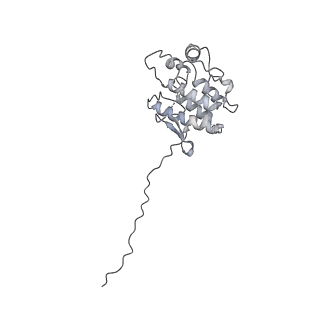 29984_8gft_D_v1-0
Hsp90 provides platform for CRaf dephosphorylation by PP5