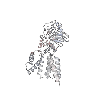 29984_8gft_E_v1-0
Hsp90 provides platform for CRaf dephosphorylation by PP5