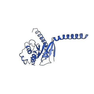 29985_8gfv_A_v1-1
CryoEM structure of beta-2-adrenergic receptor in complex with GTP-bound Gs heterotrimer (transition intermediate #1 of 20)