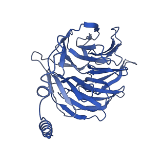 29985_8gfv_B_v1-1
CryoEM structure of beta-2-adrenergic receptor in complex with GTP-bound Gs heterotrimer (transition intermediate #1 of 20)