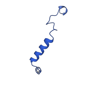 29985_8gfv_G_v1-1
CryoEM structure of beta-2-adrenergic receptor in complex with GTP-bound Gs heterotrimer (transition intermediate #1 of 20)