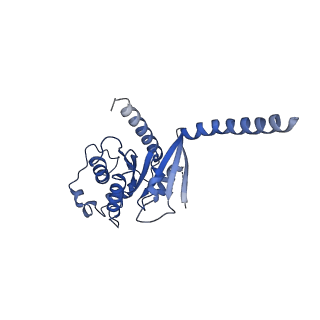 29986_8gfw_A_v1-1
CryoEM structure of beta-2-adrenergic receptor in complex with GTP-bound Gs heterotrimer (transition intermediate #2 of 20)