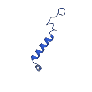 29986_8gfw_G_v1-1
CryoEM structure of beta-2-adrenergic receptor in complex with GTP-bound Gs heterotrimer (transition intermediate #2 of 20)