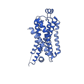 29986_8gfw_R_v1-1
CryoEM structure of beta-2-adrenergic receptor in complex with GTP-bound Gs heterotrimer (transition intermediate #2 of 20)