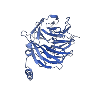 29987_8gfx_B_v1-1
CryoEM structure of beta-2-adrenergic receptor in complex with GTP-bound Gs heterotrimer (transition intermediate #3 of 20)