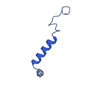 29987_8gfx_G_v1-1
CryoEM structure of beta-2-adrenergic receptor in complex with GTP-bound Gs heterotrimer (transition intermediate #3 of 20)