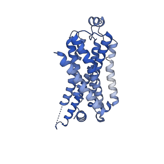 29987_8gfx_R_v1-1
CryoEM structure of beta-2-adrenergic receptor in complex with GTP-bound Gs heterotrimer (transition intermediate #3 of 20)