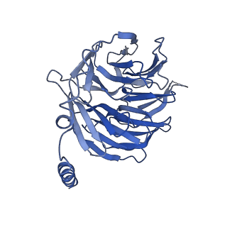 29989_8gfz_B_v1-1
CryoEM structure of beta-2-adrenergic receptor in complex with GTP-bound Gs heterotrimer (transition intermediate #5 of 20)