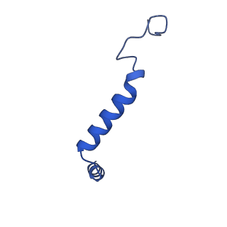 29989_8gfz_G_v1-1
CryoEM structure of beta-2-adrenergic receptor in complex with GTP-bound Gs heterotrimer (transition intermediate #5 of 20)