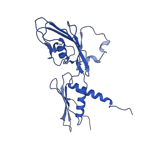 4397_6gfw_A_v1-0
Cryo-EM structure of bacterial RNA polymerase-sigma54 holoenzyme initial transcribing complex