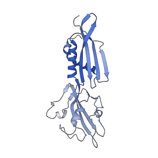 4397_6gfw_B_v1-0
Cryo-EM structure of bacterial RNA polymerase-sigma54 holoenzyme initial transcribing complex