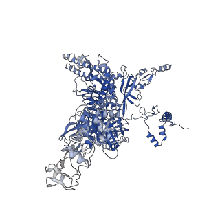 4397_6gfw_C_v1-0
Cryo-EM structure of bacterial RNA polymerase-sigma54 holoenzyme initial transcribing complex