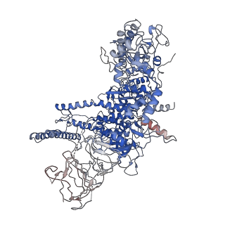 4397_6gfw_D_v1-0
Cryo-EM structure of bacterial RNA polymerase-sigma54 holoenzyme initial transcribing complex