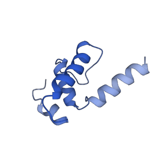 4397_6gfw_E_v1-0
Cryo-EM structure of bacterial RNA polymerase-sigma54 holoenzyme initial transcribing complex