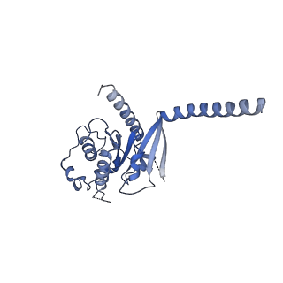 29990_8gg0_A_v1-1
CryoEM structure of beta-2-adrenergic receptor in complex with GTP-bound Gs heterotrimer (transition intermediate #6 of 20)