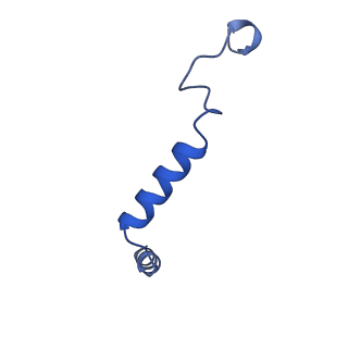 29990_8gg0_G_v1-1
CryoEM structure of beta-2-adrenergic receptor in complex with GTP-bound Gs heterotrimer (transition intermediate #6 of 20)