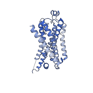 29990_8gg0_R_v1-1
CryoEM structure of beta-2-adrenergic receptor in complex with GTP-bound Gs heterotrimer (transition intermediate #6 of 20)