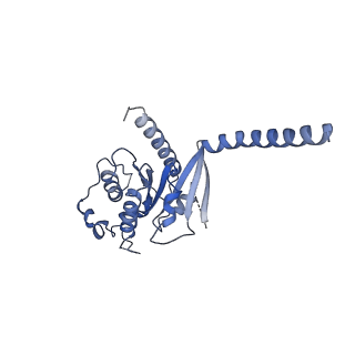 29991_8gg1_A_v1-1
CryoEM structure of beta-2-adrenergic receptor in complex with GTP-bound Gs heterotrimer (transition intermediate #7 of 20)