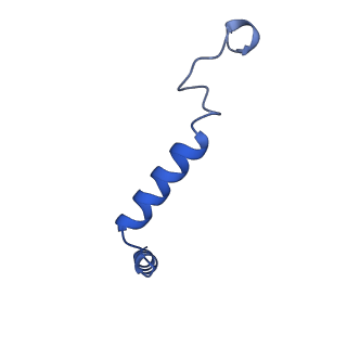 29992_8gg2_G_v1-1
CryoEM structure of beta-2-adrenergic receptor in complex with GTP-bound Gs heterotrimer (transition intermediate #8 of 20)